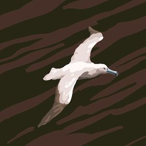 Meet your Posher, Donovan